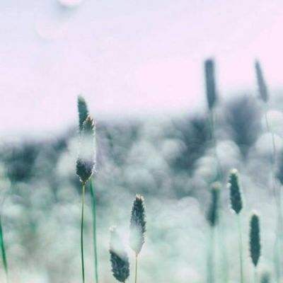 PG电子游戏下载